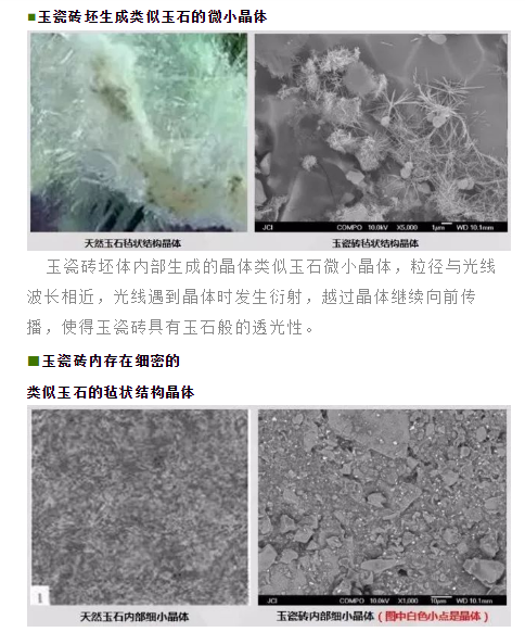 ag亚娱集团·(中国)官方网站