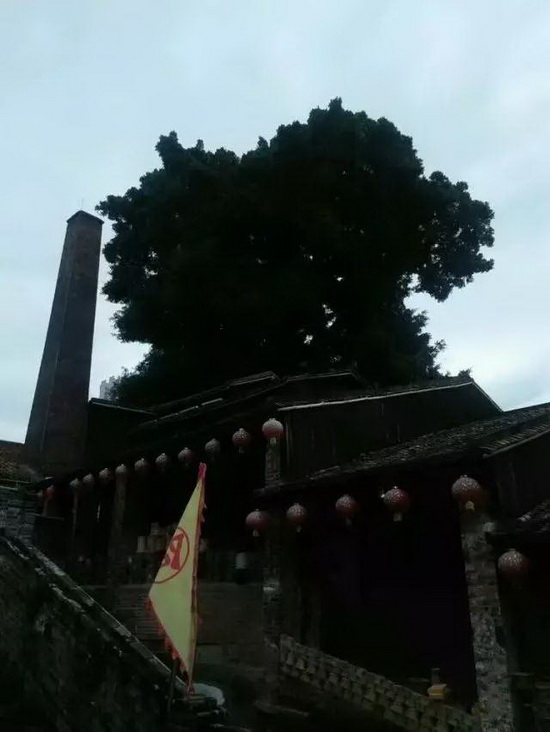 ag亚娱集团·(中国)官方网站