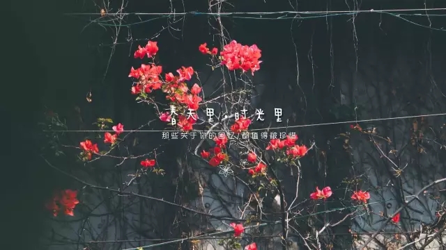 ag亚娱集团·(中国)官方网站