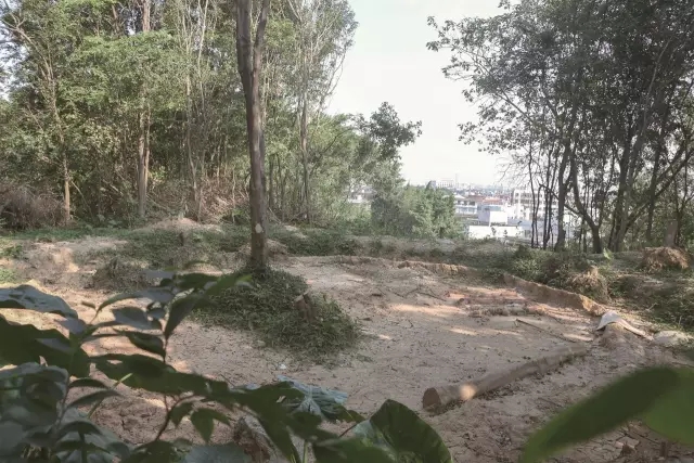 ag亚娱集团·(中国)官方网站