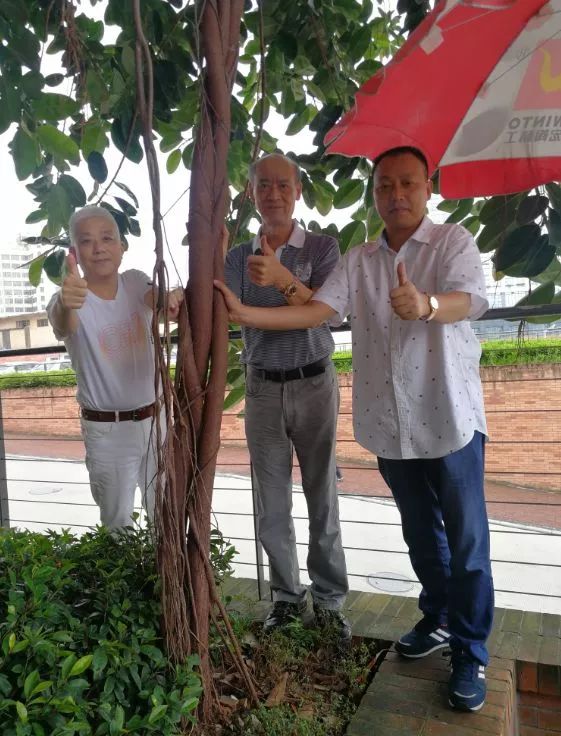 ag亚娱集团·(中国)官方网站