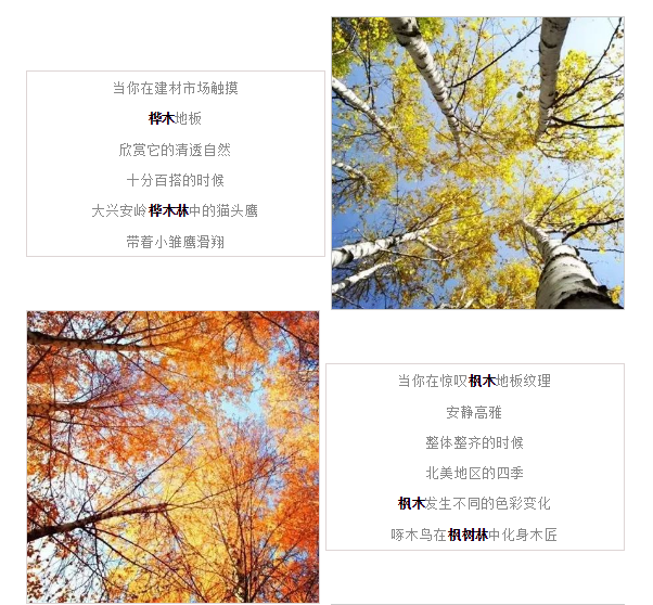 ag亚娱集团·(中国)官方网站