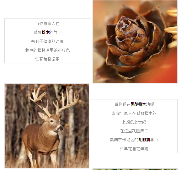 ag亚娱集团·(中国)官方网站