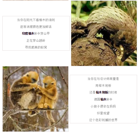 ag亚娱集团·(中国)官方网站