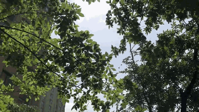 ag亚娱集团陶瓷