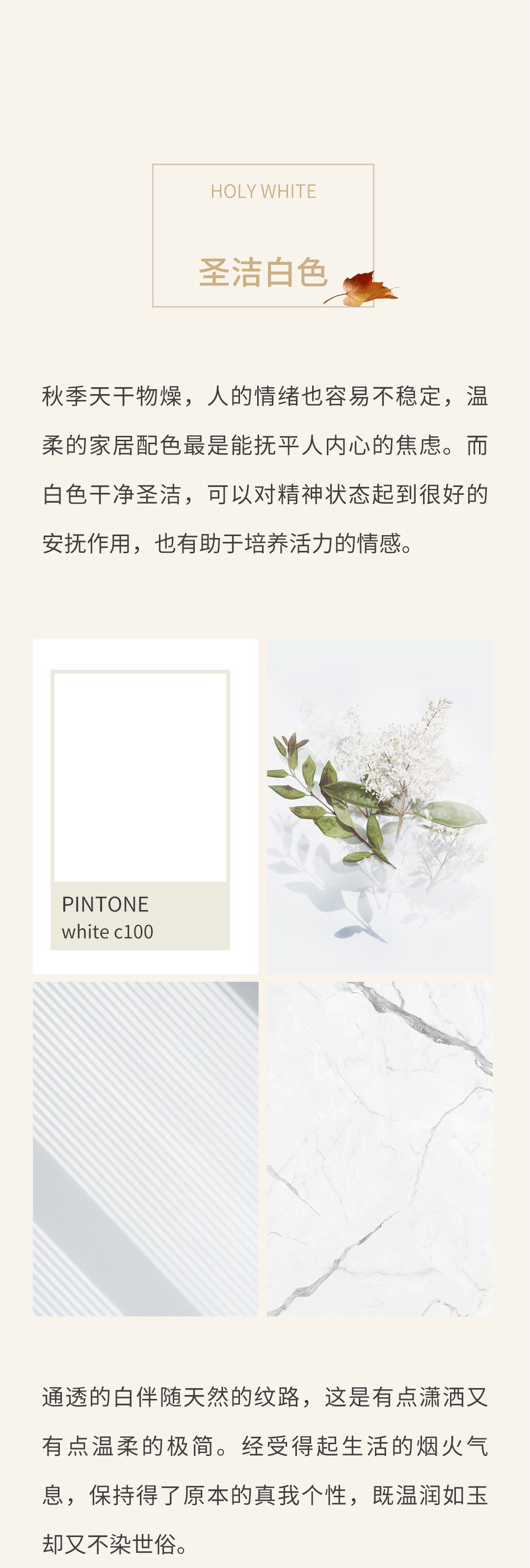 ag亚娱集团·(中国)官方网站