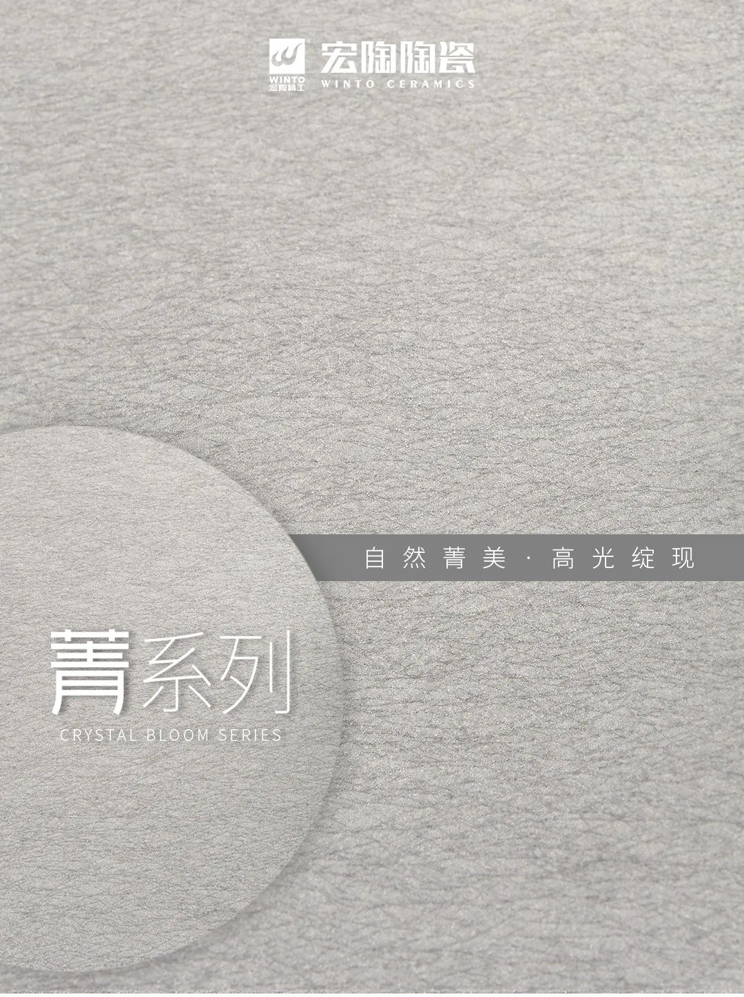 ag亚娱集团质感砖菁系列图片