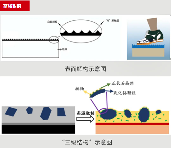ag亚娱集团·(中国)官方网站
